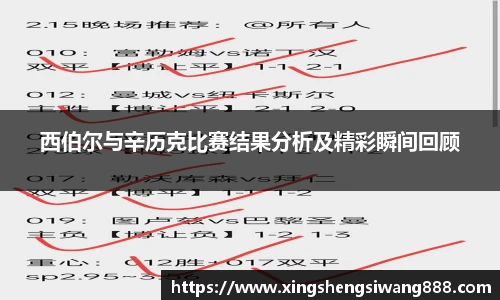 西伯尔与辛历克比赛结果分析及精彩瞬间回顾